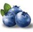 Blueberry